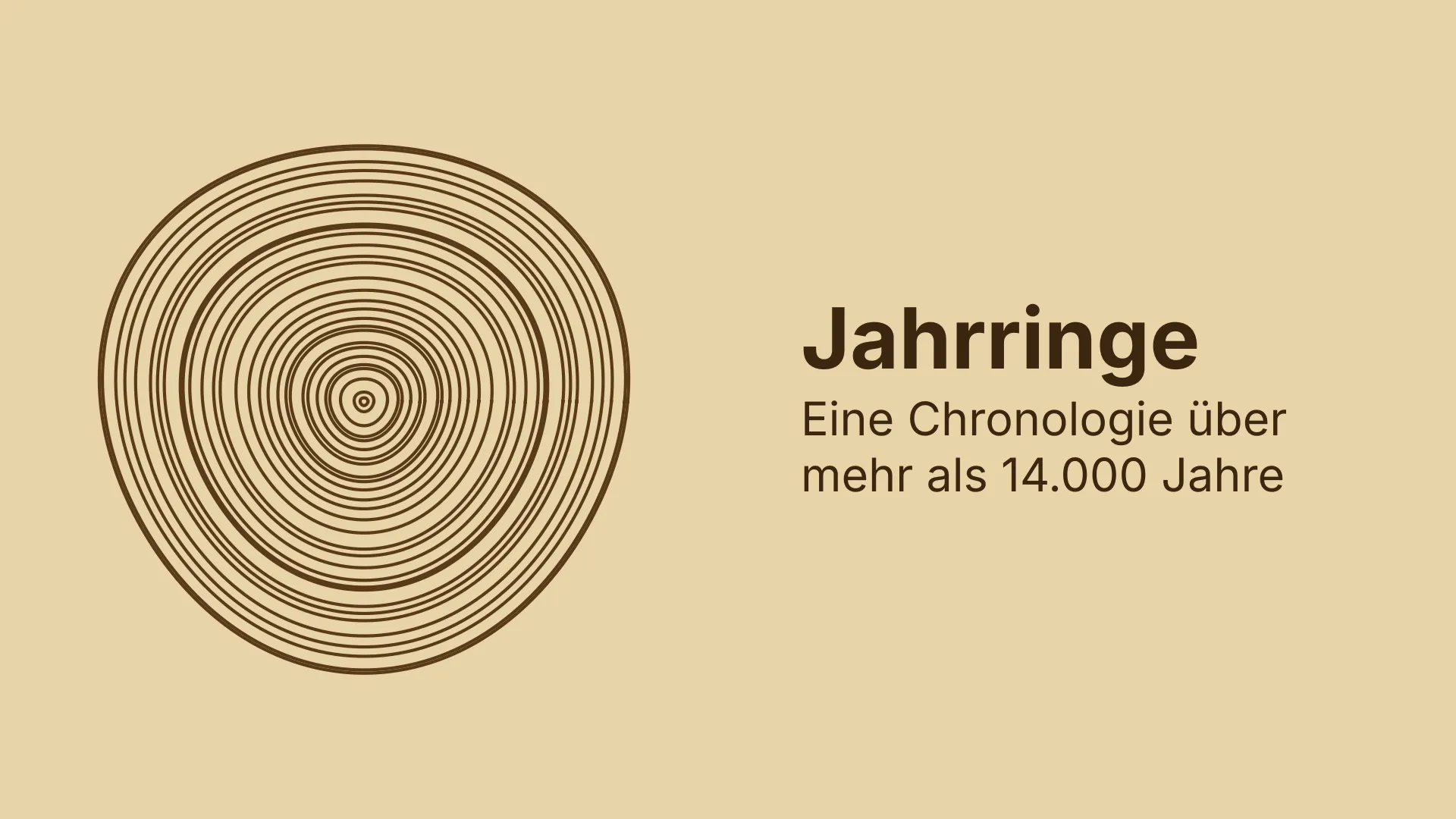 Querschnitt eines Baumstamms mit zahlreichen braunen Jahrringen auf hellem Grund